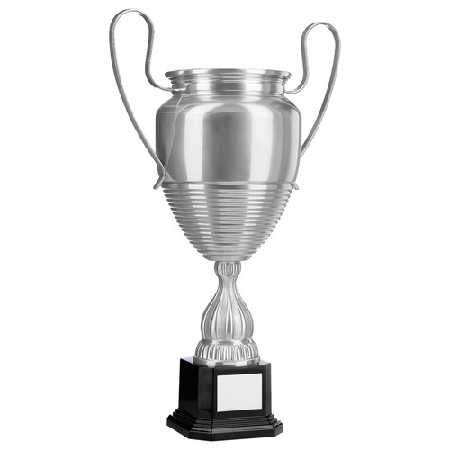 Tazza grande argento stile