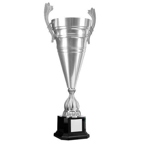 Tazza grande argento scanalata